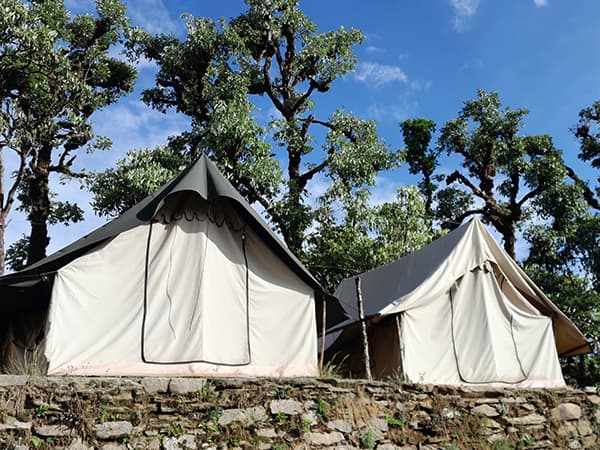 Retiro yoga trekking viajero india himalaya rishikesh