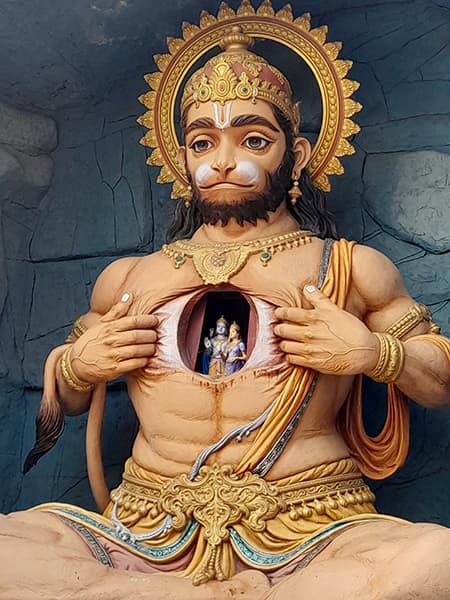 Retiro yoga trekking viajero india himalaya rishikesh